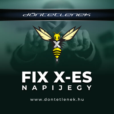 Döntetlenes napi jegy