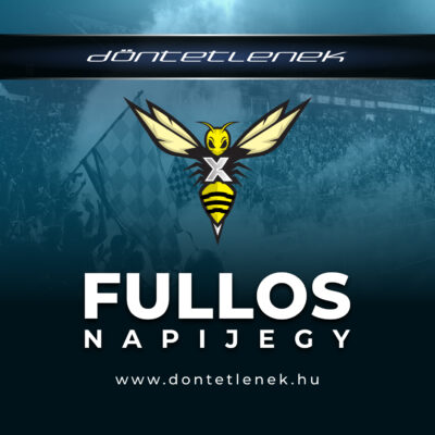 Fullos napi jegy